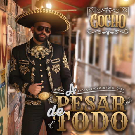 a pesar de todo cover